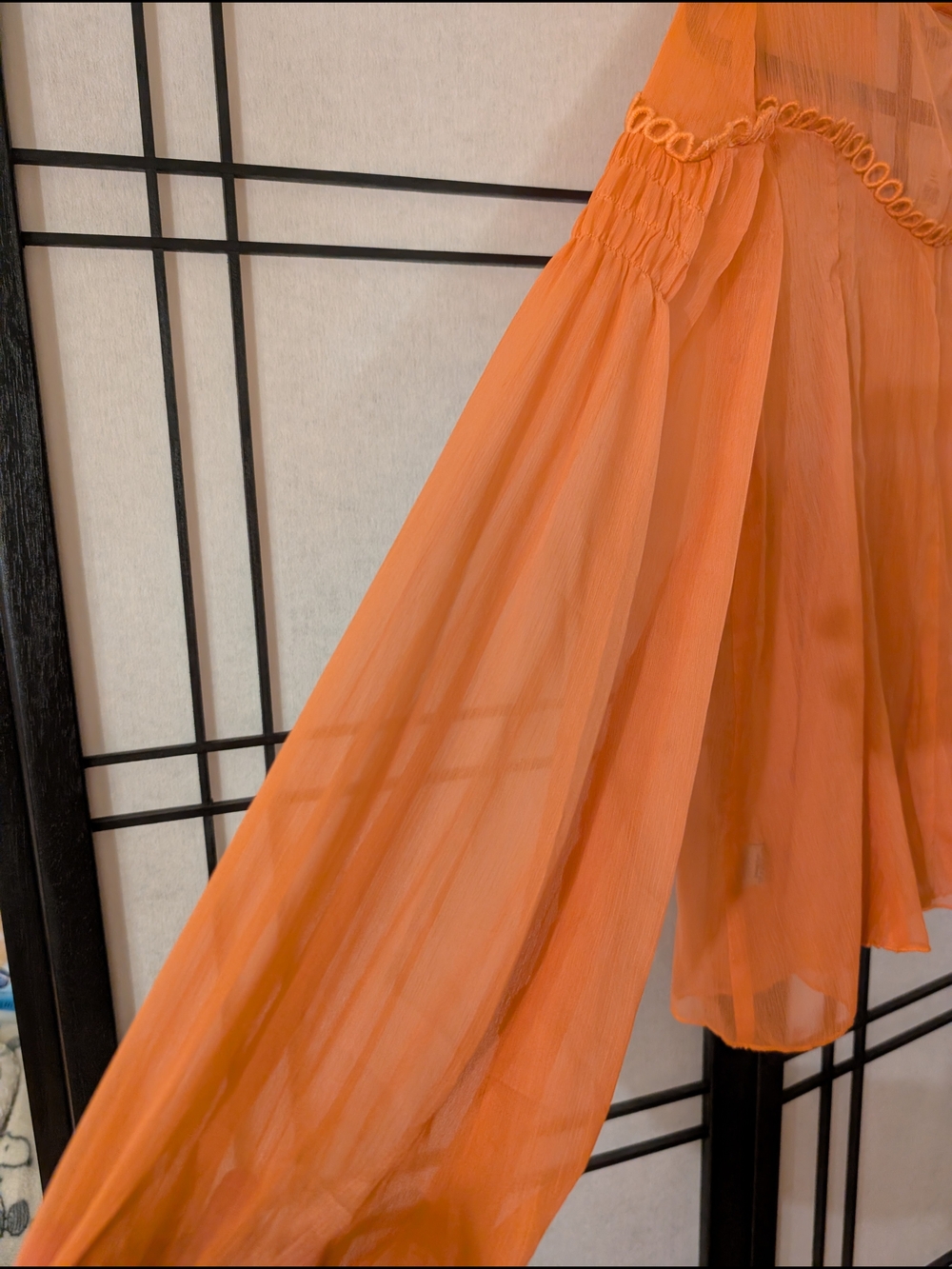Ranna Gill Anthropologie Orange Sheer Pleated Blouse Top M NWT - Picture 5 of 5